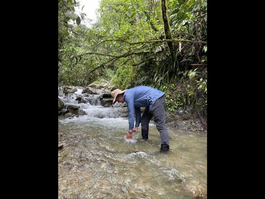 Arsa La Estrella, Departamento de Antioquia
