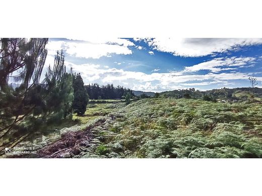 ‏קרקע ב  Envigado, Departamento de Antioquia