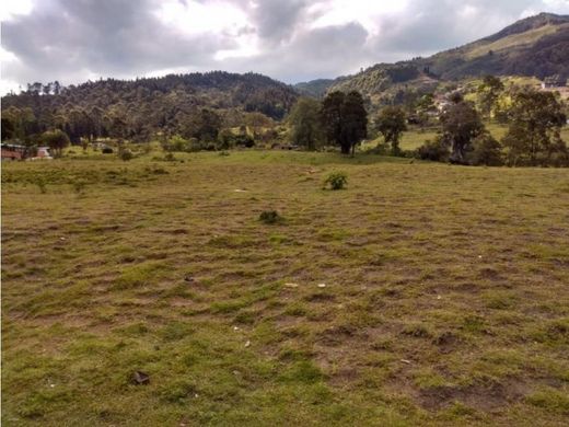 地皮  Caldas, Departamento de Antioquia