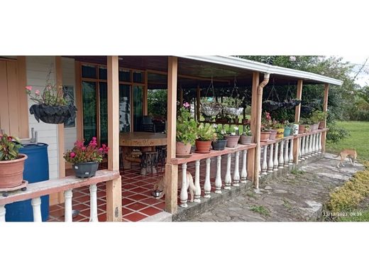 전원/농가 / Armenia, Quindío Department