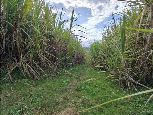 Farmhouse in Barbosa, Departamento de Santander