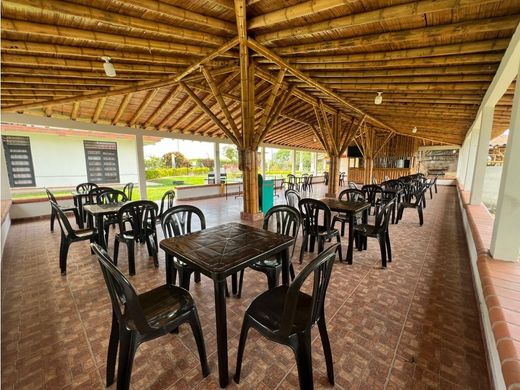 Hotel w Pereira, Departamento de Risaralda