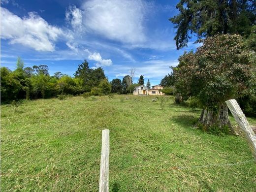 Rionegro, Departamento de Antioquiaの土地