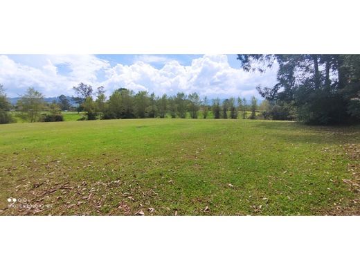 Land in Rionegro, Departamento de Antioquia