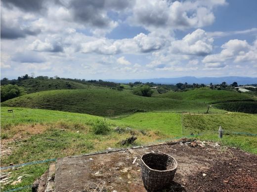 Rustik ya da çiftlik Filandia, Quindío Department