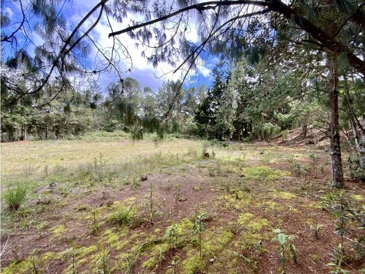 Land in Envigado, Departamento de Antioquia
