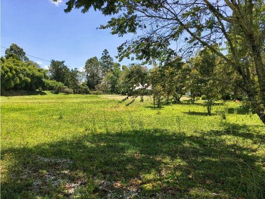 Rustik ya da çiftlik Rionegro, Departamento de Antioquia