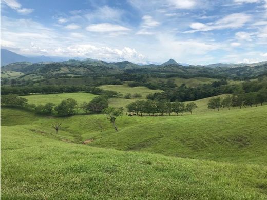 ‏בתים כפריים או חוות ב  Manizales, Departamento de Caldas