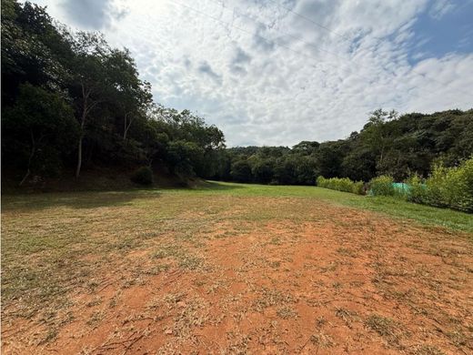 地皮  卡利, Cali