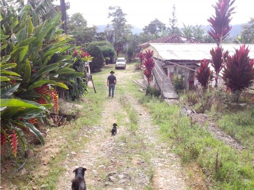 Farmhouse in Pijao, Quindío Department