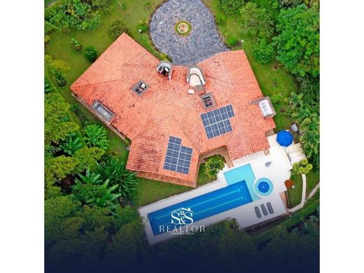 Gospodarstwo w Pereira, Departamento de Risaralda