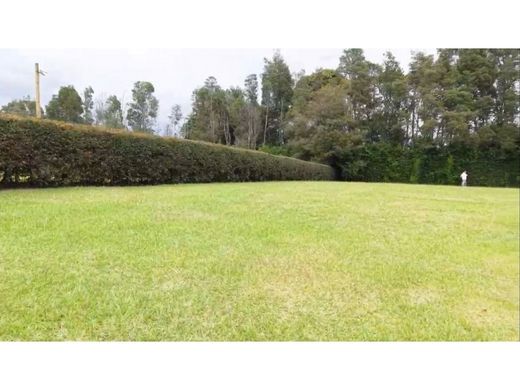 Land in Rionegro, Departamento de Antioquia