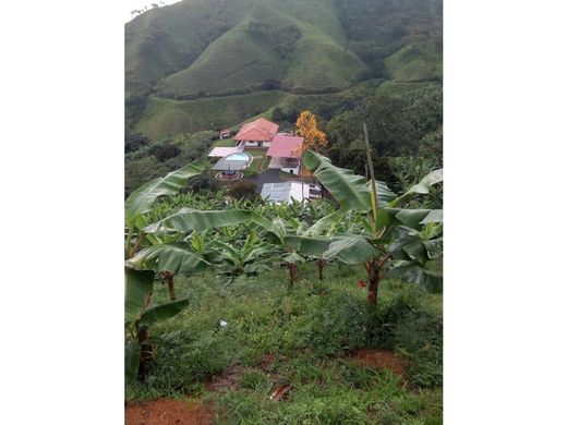 Boerderij in Pereira, Departamento de Risaralda