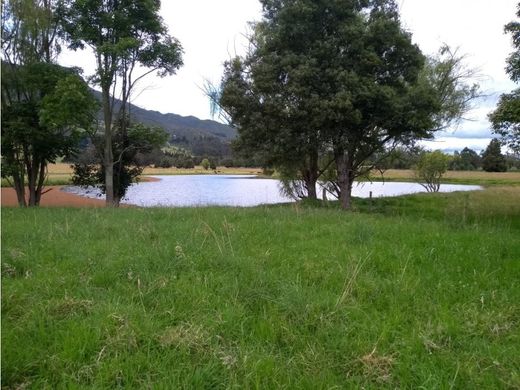 村舍/农舍  Tenjo, Departamento de Cundinamarca