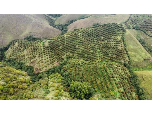 ‏בתים כפריים או חוות ב  Aguadas, Departamento de Caldas