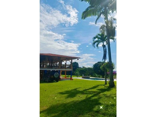 Ferme à Quimbaya, Quindío Department