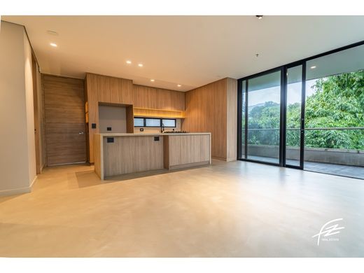 Daire Envigado, Departamento de Antioquia