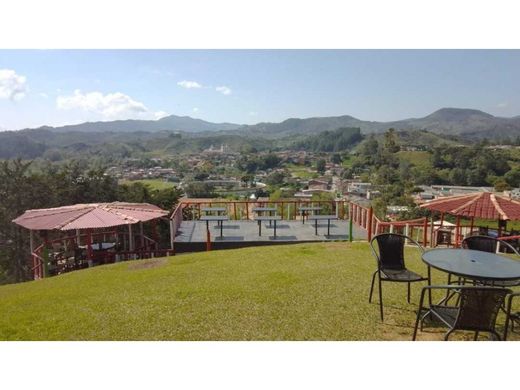 ﻣﻨﺰﻝ ﺭﻳﻔﻲ/ ﺑﻴﺖ ﻤﺰﺭﻋﺔ ﻓﻲ Carolina, Departamento de Antioquia