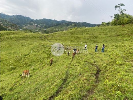 Land in Dosquebradas, Departamento de Risaralda