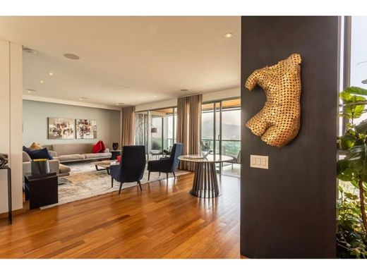 Daire Medellín, Departamento de Antioquia