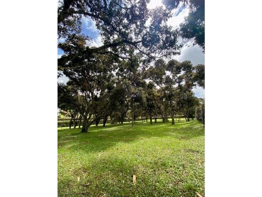 Grond in Rionegro, Departamento de Antioquia