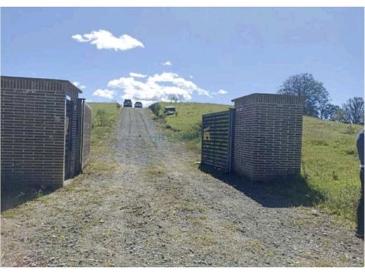 Terreno - Rionegro, Departamento de Antioquia