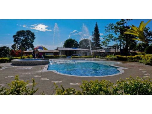 Ferme à Circasia, Quindío Department