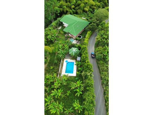 전원/농가 / Quimbaya, Quindío Department