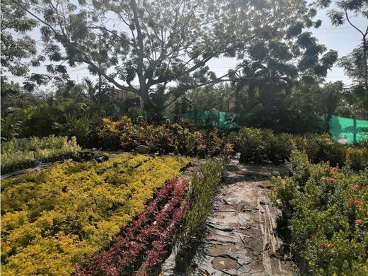 토지 / Cartagena, Cartagena de Indias