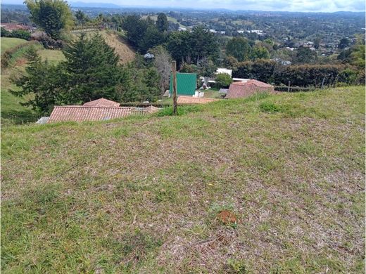 Land in Rionegro, Departamento de Antioquia