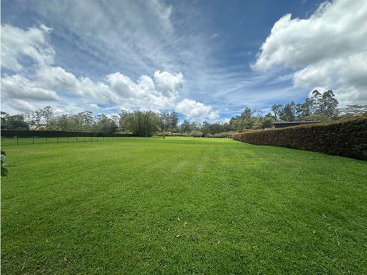 Land in Rionegro, Departamento de Antioquia