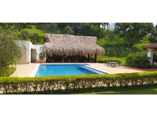 ﻣﻨﺰﻝ ﺭﻳﻔﻲ/ ﺑﻴﺖ ﻤﺰﺭﻋﺔ ﻓﻲ Fredonia, Departamento de Antioquia