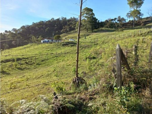 أرض ﻓﻲ San Vicente, San Vicente Ferrer