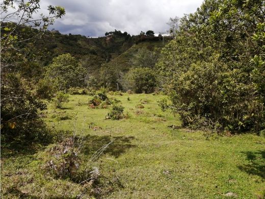 أرض ﻓﻲ San Vicente, San Vicente Ferrer