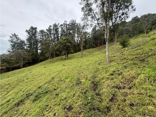 Grundstück in Rionegro, Departamento de Antioquia