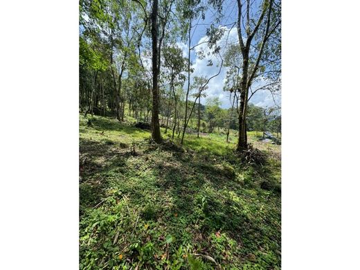 Terreno a Envigado, Departamento de Antioquia