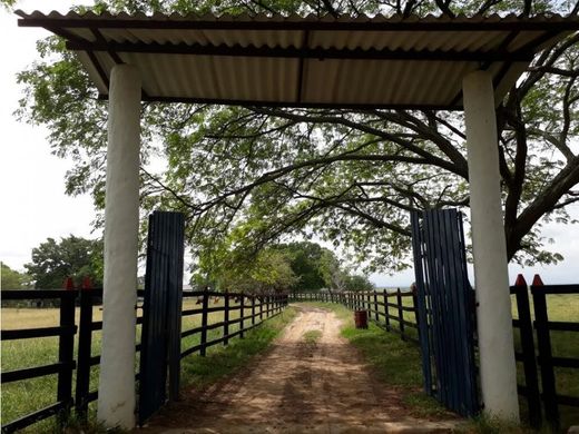 Сельский Дом, Guamo, Departamento de Tolima