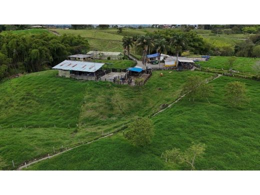 Rustik ya da çiftlik Circasia, Quindío Department