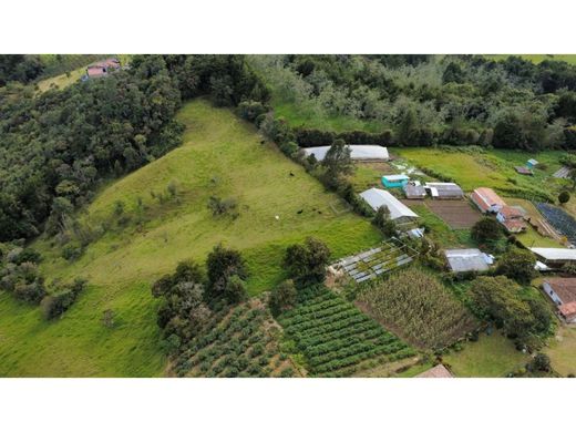 Land in Envigado, Departamento de Antioquia