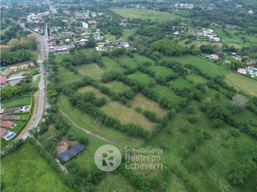 Palestina, Departamento de Caldasの土地