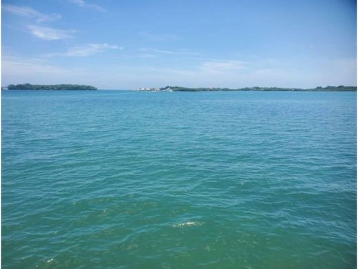 토지 / Cartagena, Cartagena de Indias