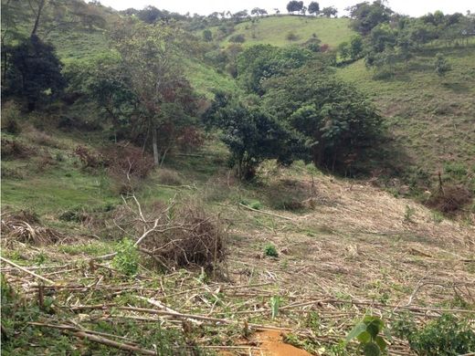 Αγροτεμάχιο σε Copacabana, Departamento de Antioquia