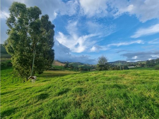 Teren w La Unión, Departamento de Antioquia