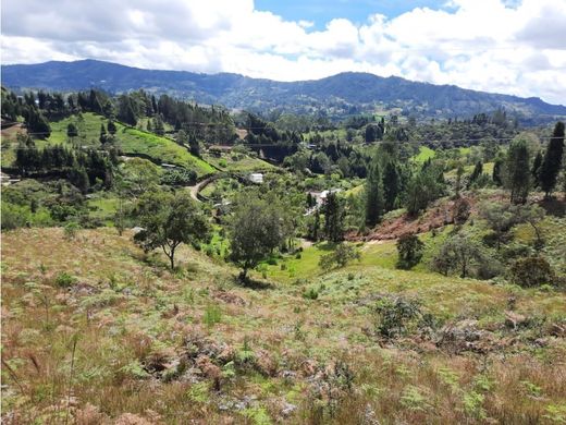 Teren w Guarne, Departamento de Antioquia