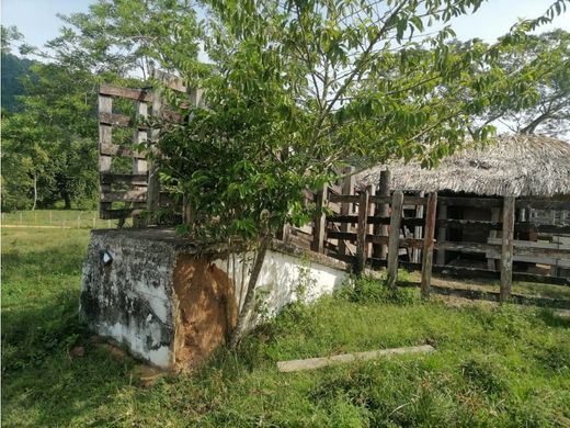 Rustico o casale a Tierralta, Departamento de Córdoba