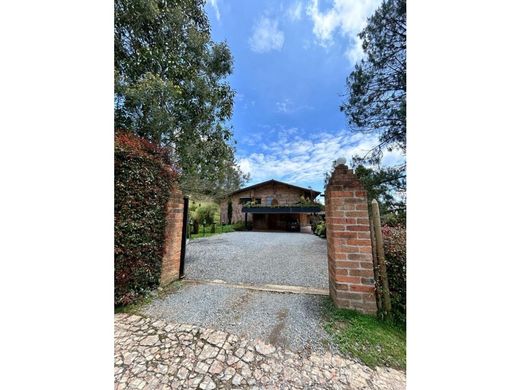Gospodarstwo w Envigado, Departamento de Antioquia