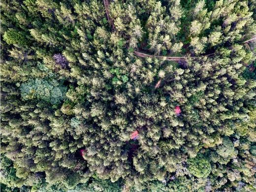 Terreno en Medellín, Departamento de Antioquia