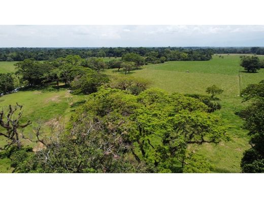 Gutshaus oder Landhaus in Villavicencio, Departamento del Meta