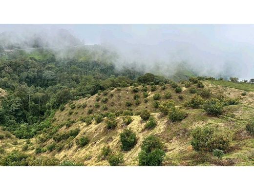 Farmhouse in Fresno, Departamento de Tolima