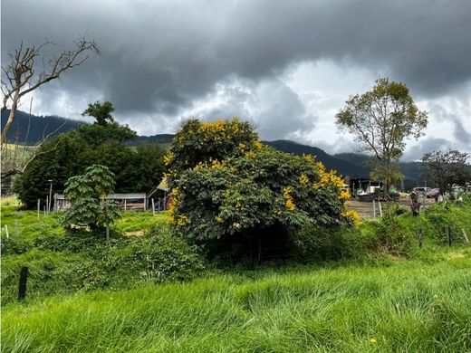 Farmhouse in Facatativá, Cundinamarca